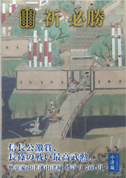 徳川御連枝 奥平家居城 中津城入城料